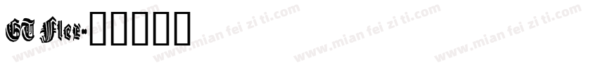 GT Flex字体转换